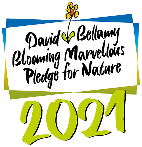 David Bellamy Blooming Marvellous Pledge